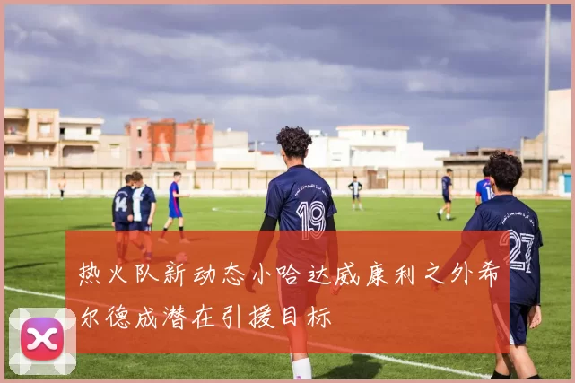 热火队新动态小哈达威康利之外希尔德成潜在引援目标